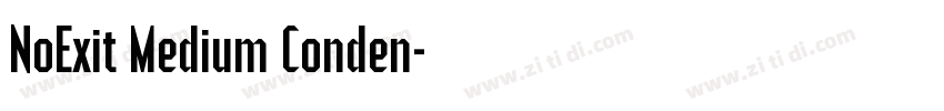NoExit Medium Conden字体转换